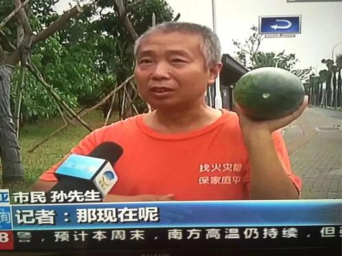 网红吃瓜热点事件视频,揭秘幕后真相,带你领略网络热点的魅力 第1张 网红吃瓜热点事件视频,揭秘幕后真相,带你领略网络热点的魅力 第1张