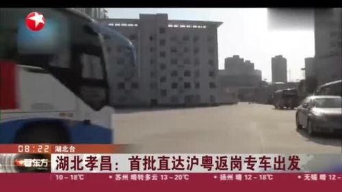 孝昌最新爆料消息视频,视频揭露惊人真相，引人深思  第1张